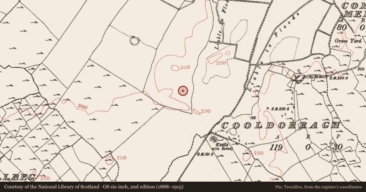Ordnance Survey six-inch map, 2nd edition (1888–1915) covering the location of Road - road/trackway, Bredagh, County Roscommon, with a pin at the register's coordinates
