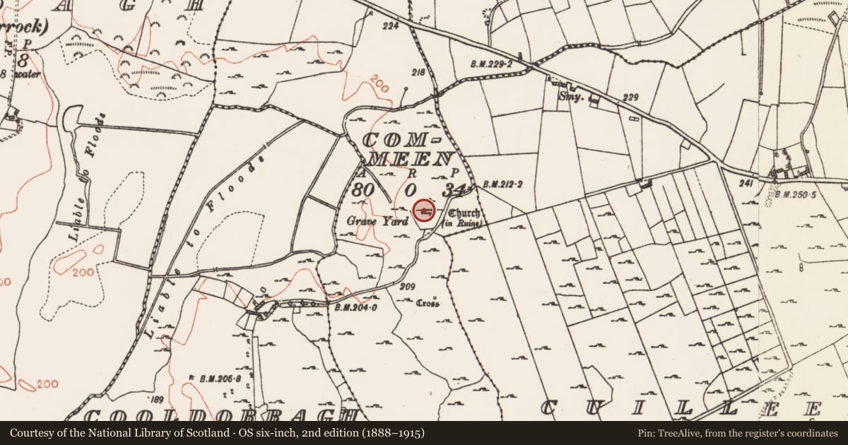 Ordnance Survey six-inch map, 2nd edition (1888–1915) covering the location of Graveslab, Commeen, County Roscommon, with a pin at the register's coordinates