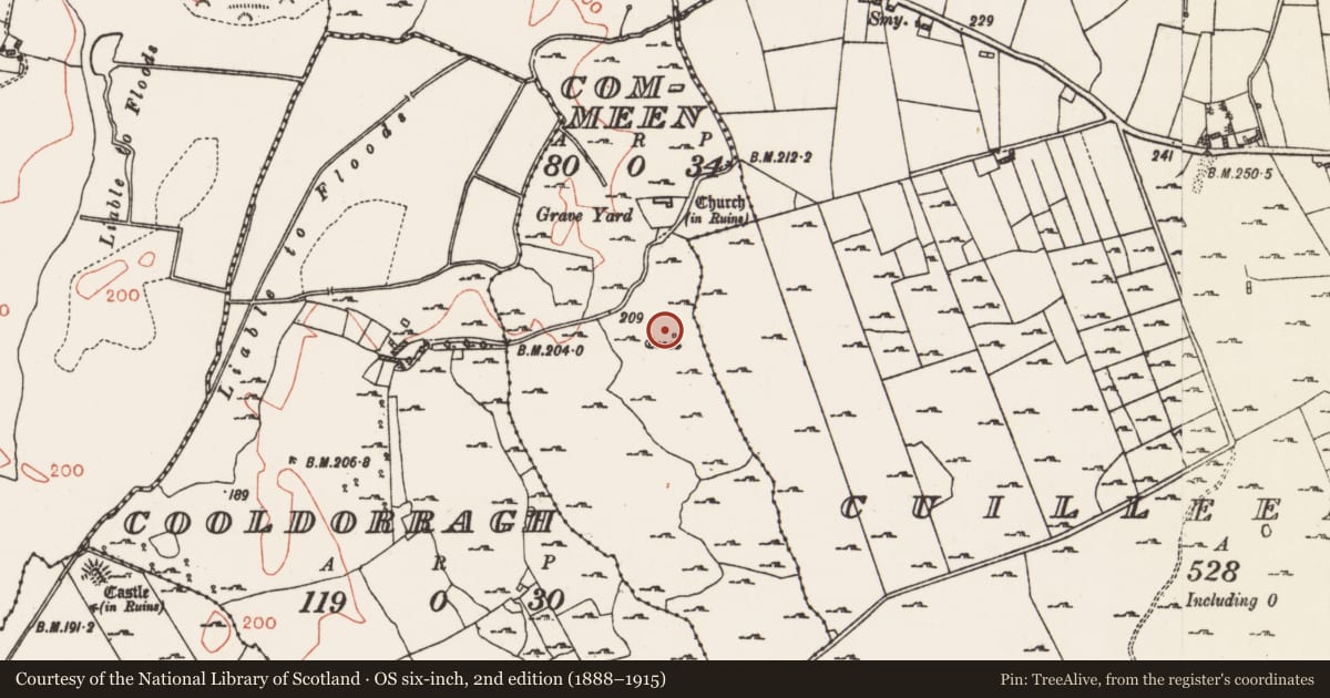 Ordnance Survey six-inch map, 2nd edition (1888–1915) covering the location of Cross - Wayside cross, Commeen, County Roscommon, with a pin at the register's coordinates