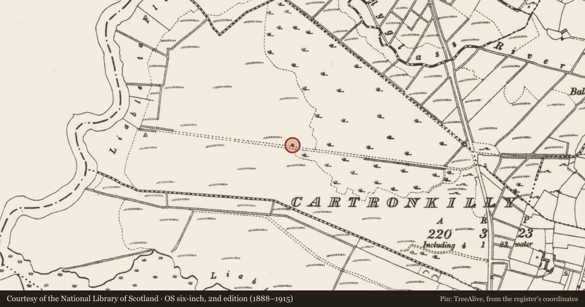 Ordnance Survey six-inch map, 2nd edition (1888–1915) covering the location of Road - road/trackway, Cartronkilly, County Roscommon, with a pin at the register's coordinates