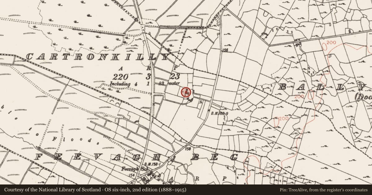 Ordnance Survey six-inch map, 2nd edition (1888–1915) covering the location of House - 18th/19th century, Cartronkilly, County Roscommon, with a pin at the register's coordinates