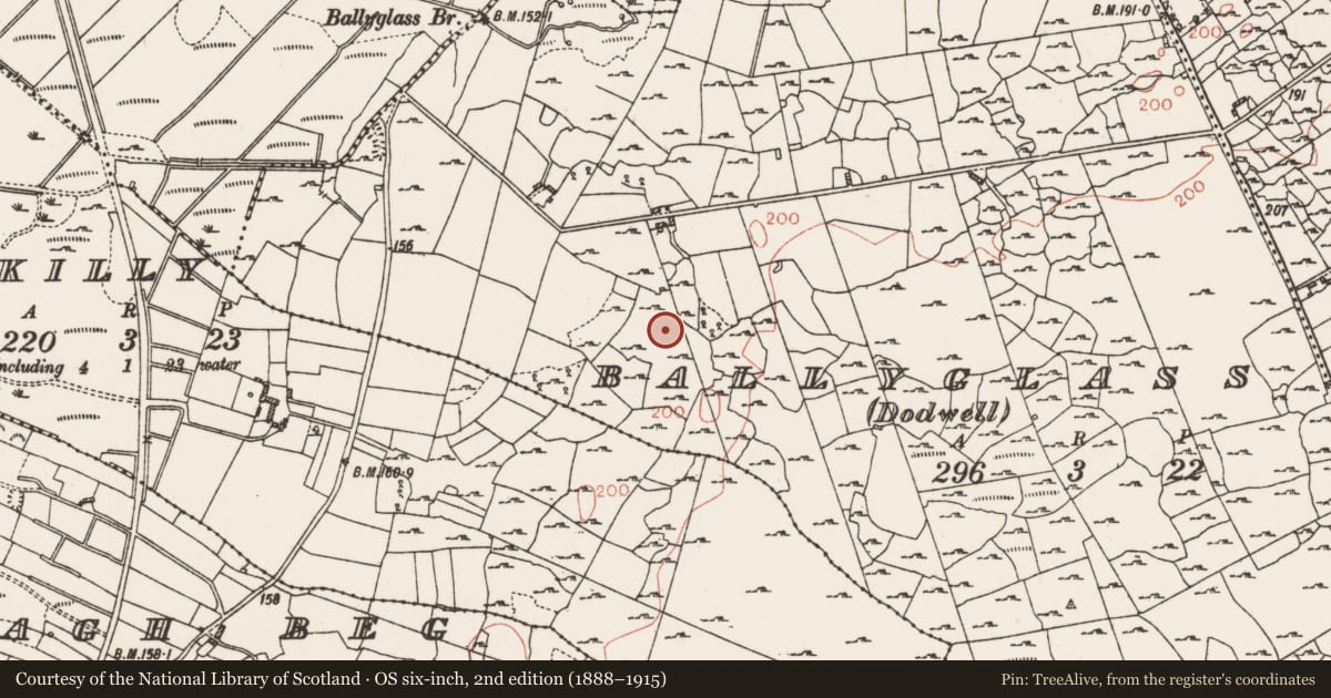 Ordnance Survey six-inch map, 2nd edition (1888–1915) covering the location of Earthwork, Ballyglass (Dodwell), County Roscommon, with a pin at the register's coordinates