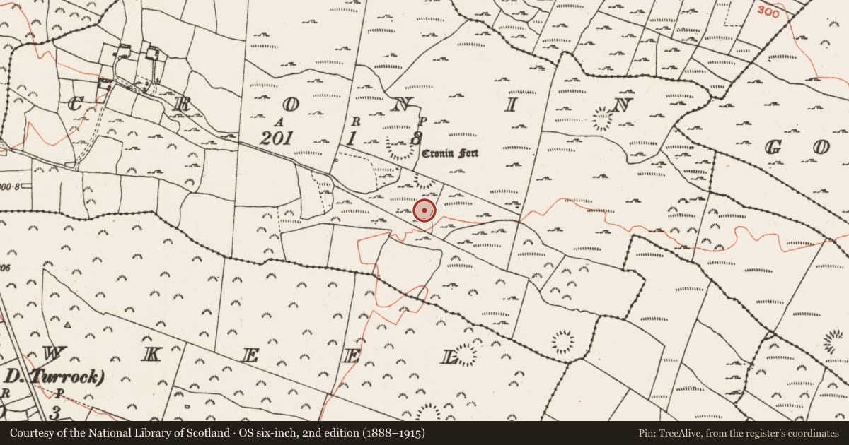 Ordnance Survey six-inch map, 2nd edition (1888–1915) covering the location of Souterrain, Cronin, County Roscommon, with a pin at the register's coordinates