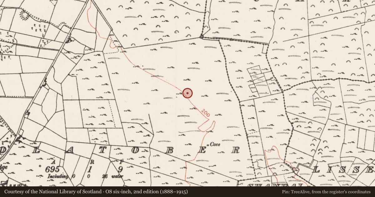 Ordnance Survey six-inch map, 2nd edition (1888–1915) covering the location of Field system, Coolatober, County Roscommon, with a pin at the register's coordinates