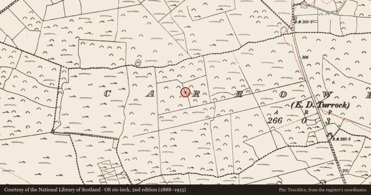Ordnance Survey six-inch map, 2nd edition (1888–1915) covering the location of Ringfort - cashel, Carrowkeel, County Roscommon, with a pin at the register's coordinates