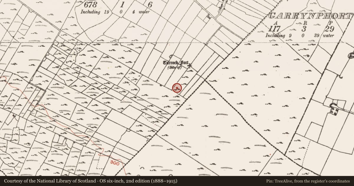 Ordnance Survey six-inch map, 2nd edition (1888–1915) covering the location of Burial, Turrock, County Roscommon, with a pin at the register's coordinates