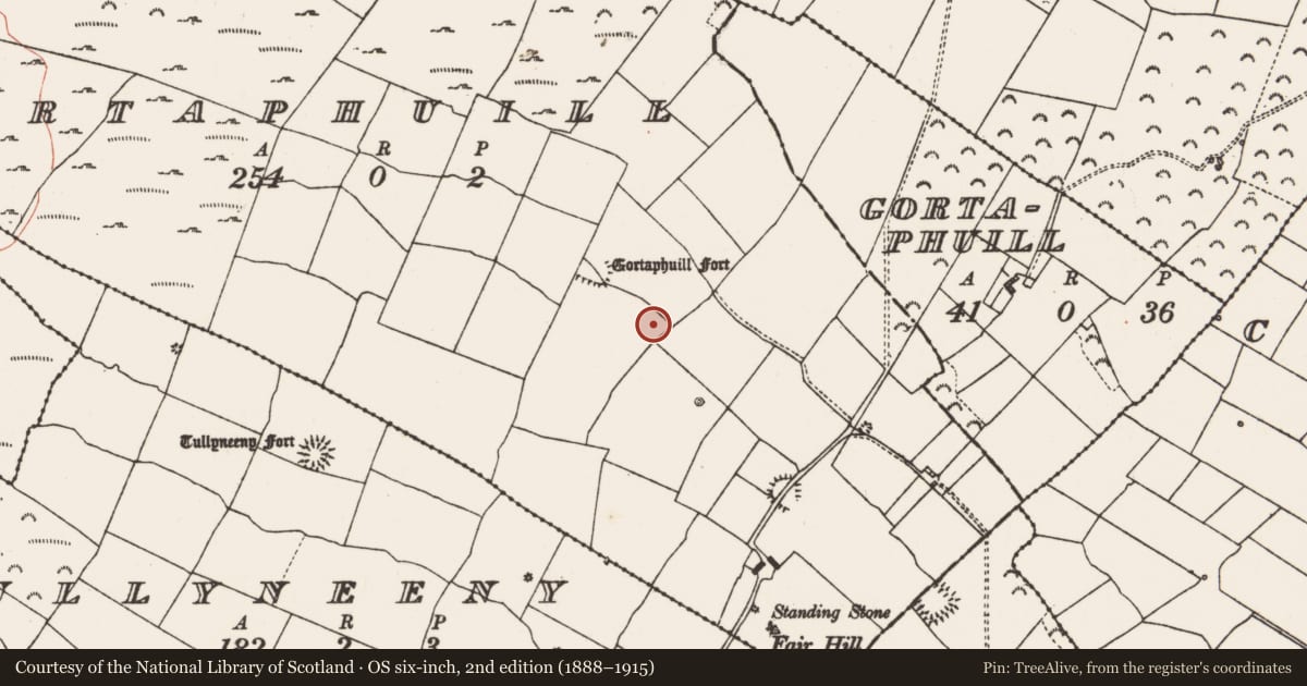 Ordnance Survey six-inch map, 2nd edition (1888–1915) covering the location of Souterrain, Gortaphuill, County Roscommon, with a pin at the register's coordinates