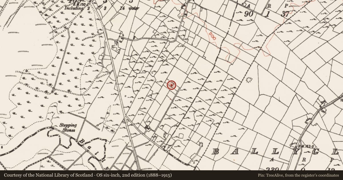 Ordnance Survey six-inch map, 2nd edition (1888–1915) covering the location of Children's burial ground, Carrowntarriff, County Roscommon, with a pin at the register's coordinates