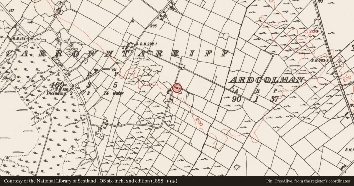 Ordnance Survey six-inch map, 2nd edition (1888–1915) covering the location of Sweathouse, Carrowntarriff, County Roscommon, with a pin at the register's coordinates