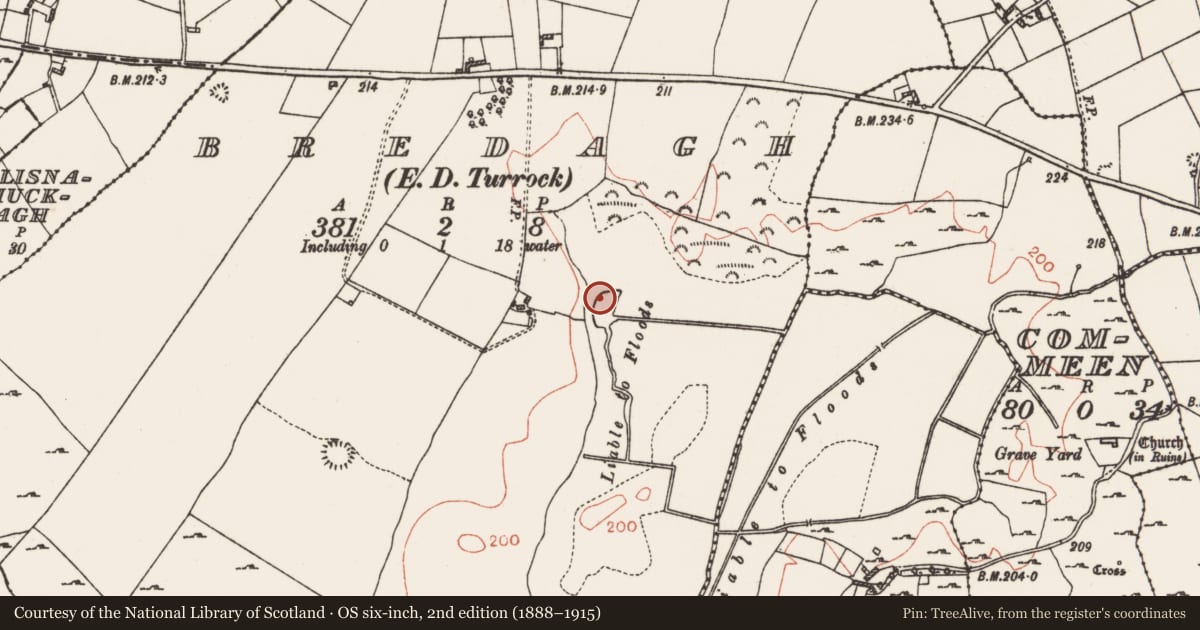 Ordnance Survey six-inch map, 2nd edition (1888–1915) covering the location of Mound, Bredagh, County Roscommon, with a pin at the register's coordinates