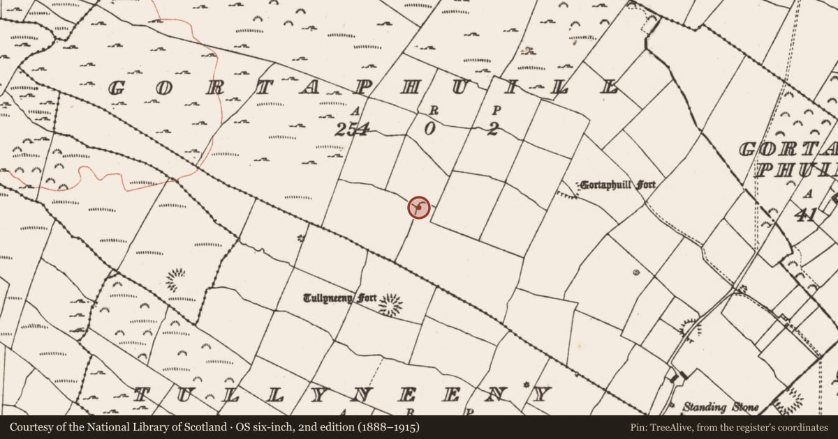 Ordnance Survey six-inch map, 2nd edition (1888–1915) covering the location of Ringfort - rath, Gortaphuill, County Roscommon, with a pin at the register's coordinates