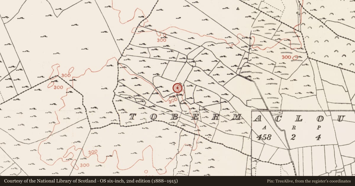 Ordnance Survey six-inch map, 2nd edition (1888–1915) covering the location of Ringfort - cashel, Tobermacloughlin, County Roscommon, with a pin at the register's coordinates