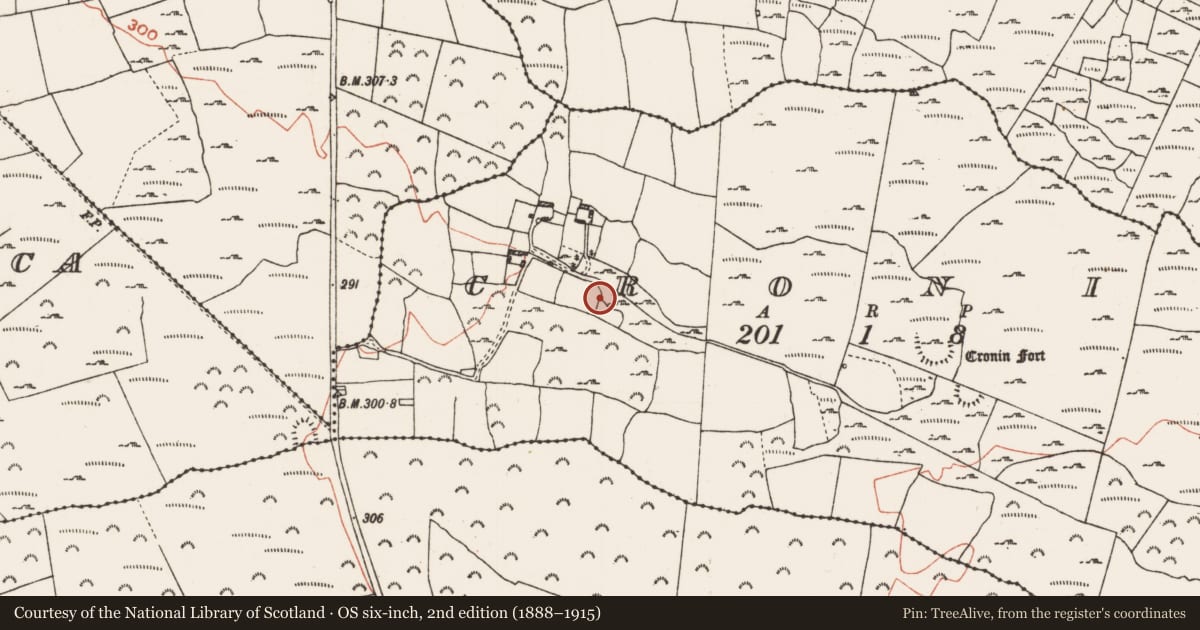 Ordnance Survey six-inch map, 2nd edition (1888–1915) covering the location of Mass-rock, Cronin, County Roscommon, with a pin at the register's coordinates