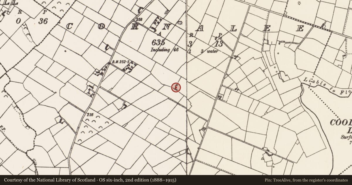 Ordnance Survey six-inch map, 2nd edition (1888–1915) covering the location of Ringfort - rath, Cornalee, County Roscommon, with a pin at the register's coordinates