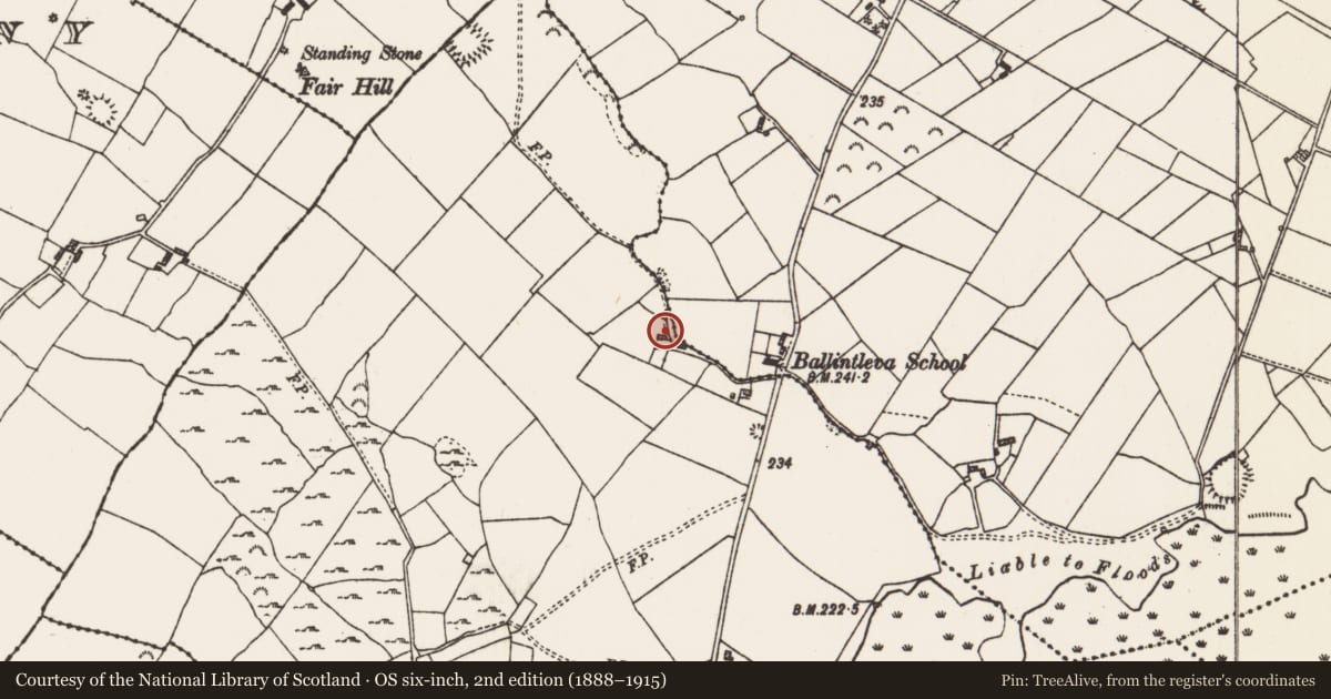 Ordnance Survey six-inch map, 2nd edition (1888–1915) covering the location of Burial, Cornalee, Cuilleenirwan, County Roscommon, with a pin at the register's coordinates