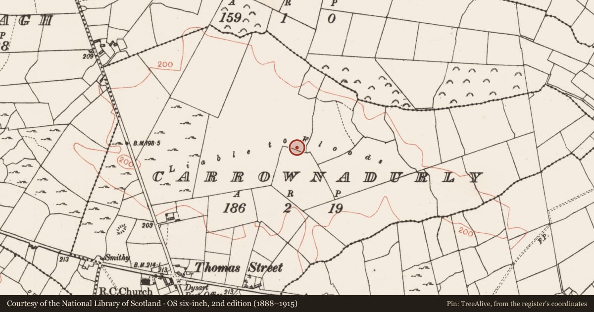 Ordnance Survey six-inch map, 2nd edition (1888–1915) covering the location of Children's burial ground, Carrownadurly, County Roscommon, with a pin at the register's coordinates