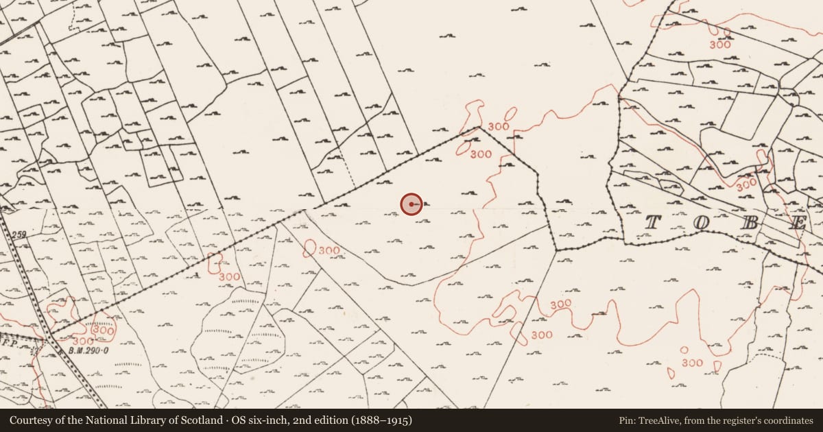 Ordnance Survey six-inch map, 2nd edition (1888–1915) covering the location of Ringfort - cashel, Lugboy, County Roscommon, with a pin at the register's coordinates
