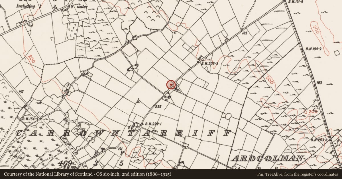 Ordnance Survey six-inch map, 2nd edition (1888–1915) covering the location of Stone sculpture (present location), Carrowntarriff, County Roscommon, with a pin at the register's coordinates