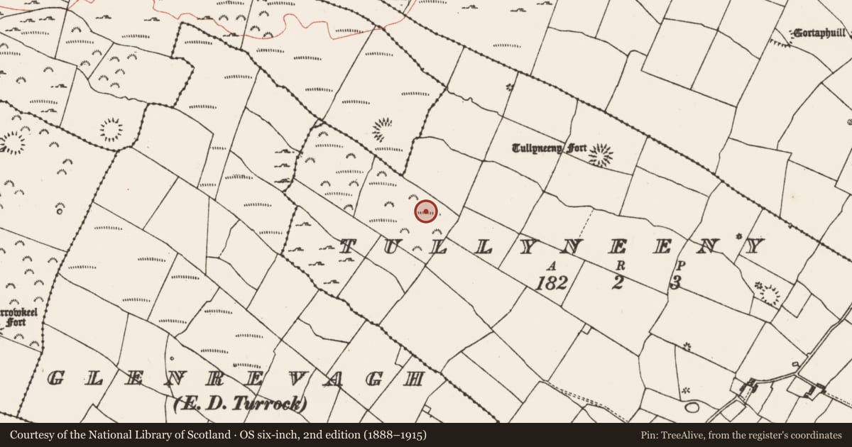 Ordnance Survey six-inch map, 2nd edition (1888–1915) covering the location of Enclosure, Tullyneeny, County Roscommon, with a pin at the register's coordinates