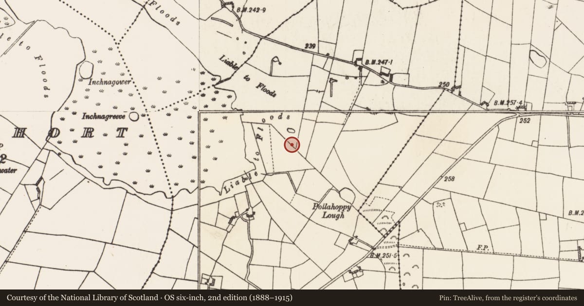 Ordnance Survey six-inch map, 2nd edition (1888–1915) covering the location of Castle - unclassified, Cornalee, County Roscommon, with a pin at the register's coordinates