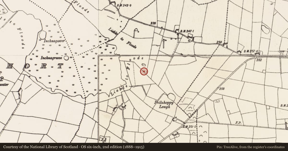 Ordnance Survey six-inch map, 2nd edition (1888–1915) covering the location of Stone head, Cornalee, County Roscommon, with a pin at the register's coordinates