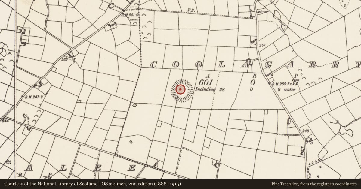 Ordnance Survey six-inch map, 2nd edition (1888–1915) covering the location of Barrow - stepped barrow, Coolagarry, County Roscommon, with a pin at the register's coordinates