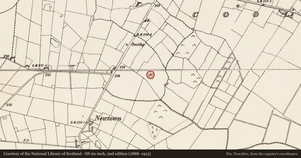 Ordnance Survey six-inch map, 2nd edition (1888–1915) covering the location of Ringfort - rath, Coolagarry, County Roscommon, with a pin at the register's coordinates
