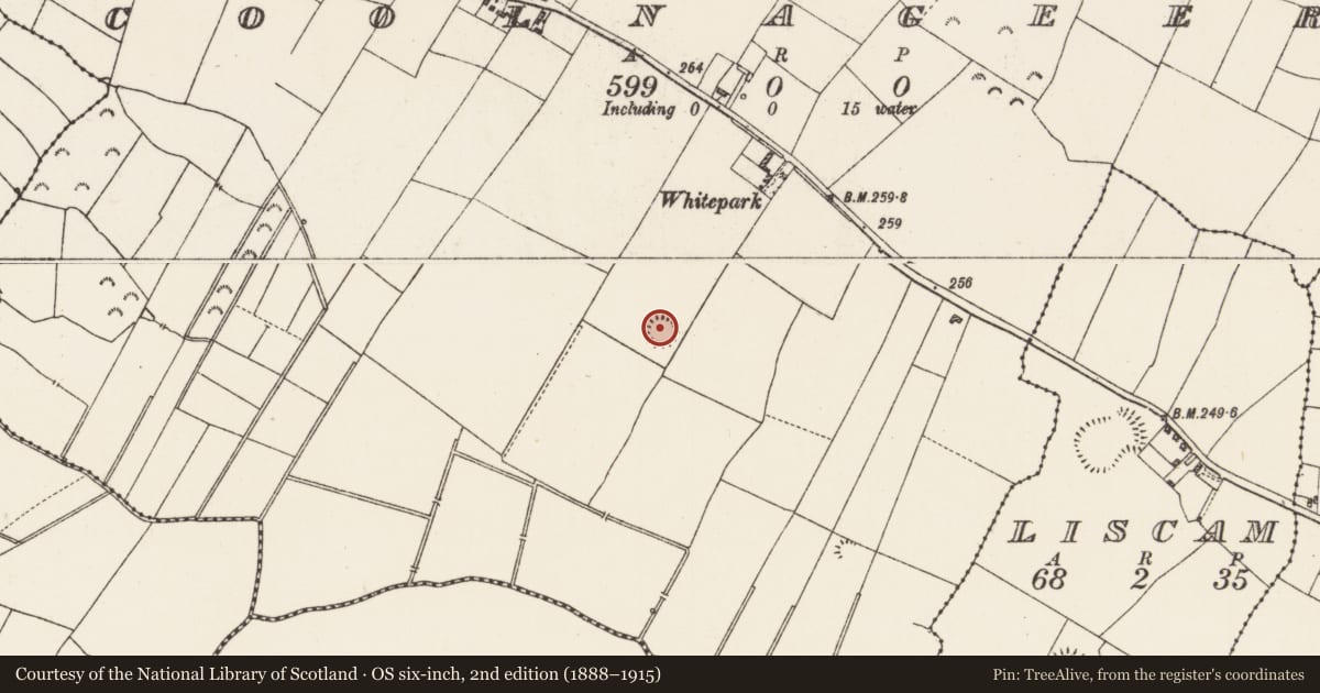 Ordnance Survey six-inch map, 2nd edition (1888–1915) covering the location of Ringfort - rath, Coolnageer, County Roscommon, with a pin at the register's coordinates