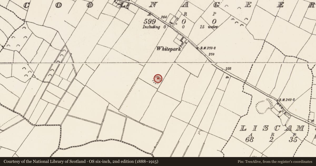 Ordnance Survey six-inch map, 2nd edition (1888–1915) covering the location of Souterrain, Coolnageer, County Roscommon, with a pin at the register's coordinates