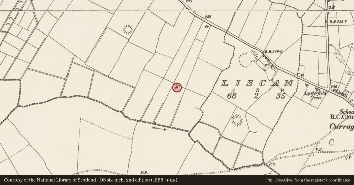 Ordnance Survey six-inch map, 2nd edition (1888–1915) covering the location of Ringfort - rath, Coolnageer, County Roscommon, with a pin at the register's coordinates