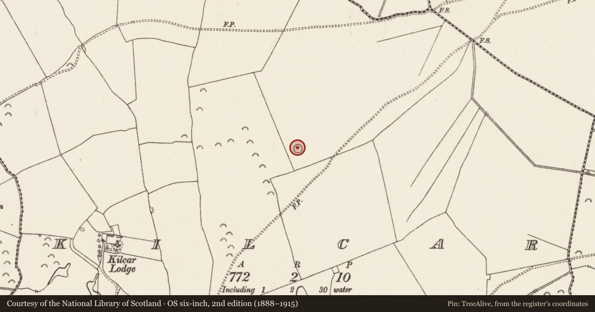 Ordnance Survey six-inch map, 2nd edition (1888–1915) covering the location of Earthwork, Kilcar, County Roscommon, with a pin at the register's coordinates