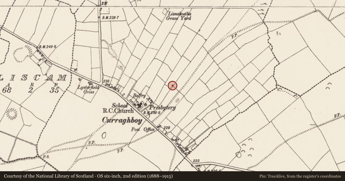 Ordnance Survey six-inch map, 2nd edition (1888–1915) covering the location of Ringfort - rath, Carrick, County Roscommon, with a pin at the register's coordinates