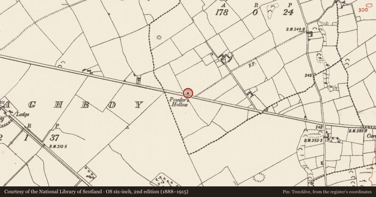 Ordnance Survey six-inch map, 2nd edition (1888–1915) covering the location of Ringfort - rath, Rackans, County Roscommon, with a pin at the register's coordinates