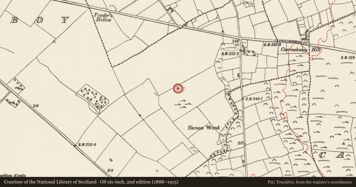 Ordnance Survey six-inch map, 2nd edition (1888–1915) covering the location of Ringfort - rath, Curraghboy, County Roscommon, with a pin at the register's coordinates
