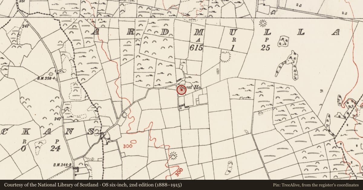 Ordnance Survey six-inch map, 2nd edition (1888–1915) covering the location of Sweathouse, Ardmullan, County Roscommon, with a pin at the register's coordinates