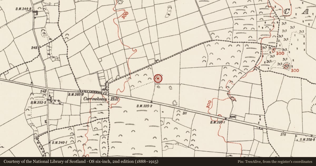 Ordnance Survey six-inch map, 2nd edition (1888–1915) covering the location of Ringfort - rath, Carrowkeeny, County Roscommon, with a pin at the register's coordinates