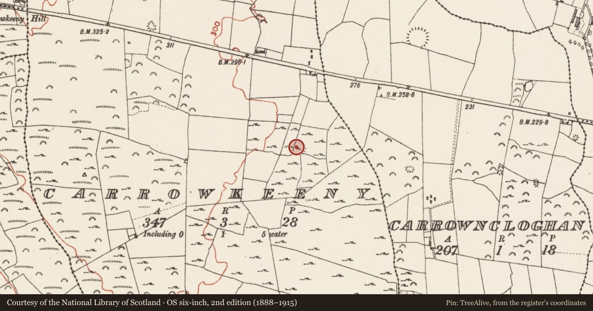 Ordnance Survey six-inch map, 2nd edition (1888–1915) covering the location of Children's burial ground, Carrowkeeny, County Roscommon, with a pin at the register's coordinates