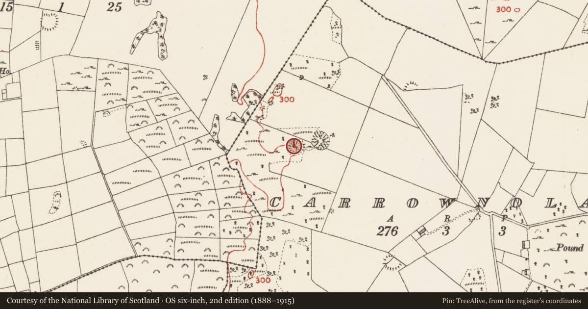 Ordnance Survey six-inch map, 2nd edition (1888–1915) covering the location of Earthwork, Carrownolan, County Roscommon, with a pin at the register's coordinates