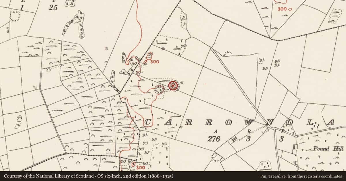 Ordnance Survey six-inch map, 2nd edition (1888–1915) covering the location of Enclosure, Carrownolan, County Roscommon, with a pin at the register's coordinates
