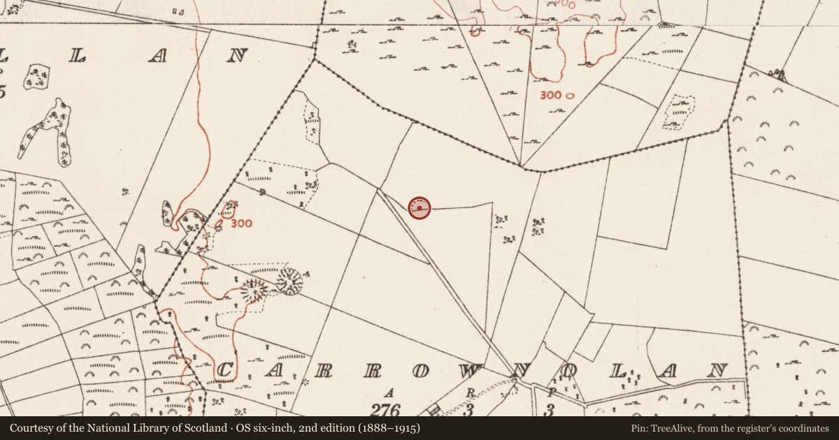 Ordnance Survey six-inch map, 2nd edition (1888–1915) covering the location of Ringfort - rath, Carrownolan, County Roscommon, with a pin at the register's coordinates