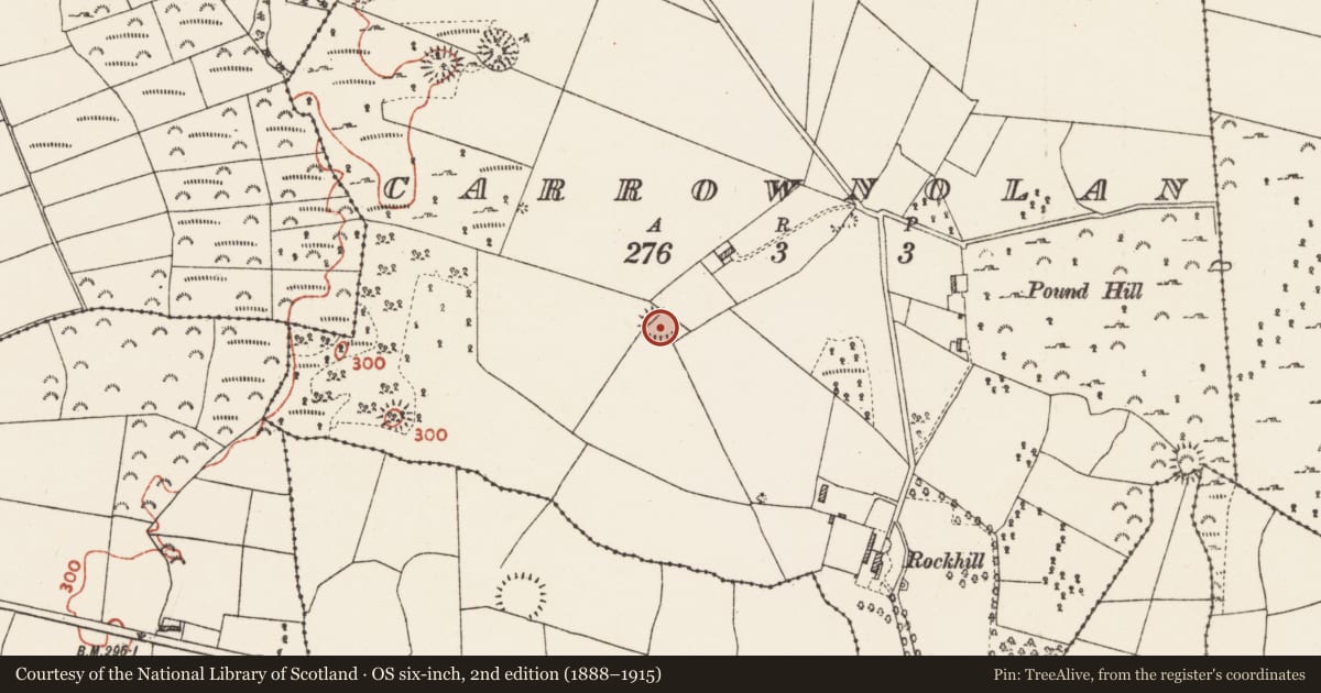 Ordnance Survey six-inch map, 2nd edition (1888–1915) covering the location of Ringfort - cashel, Carrownolan, County Roscommon, with a pin at the register's coordinates
