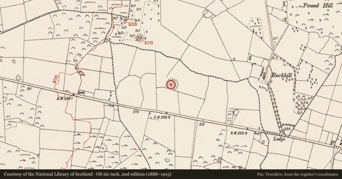 Ordnance Survey six-inch map, 2nd edition (1888–1915) covering the location of Ringfort - rath, Carrowncloghan, County Roscommon, with a pin at the register's coordinates