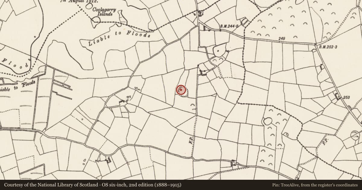 Ordnance Survey six-inch map, 2nd edition (1888–1915) covering the location of Ringfort - rath, Curry, County Roscommon, with a pin at the register's coordinates