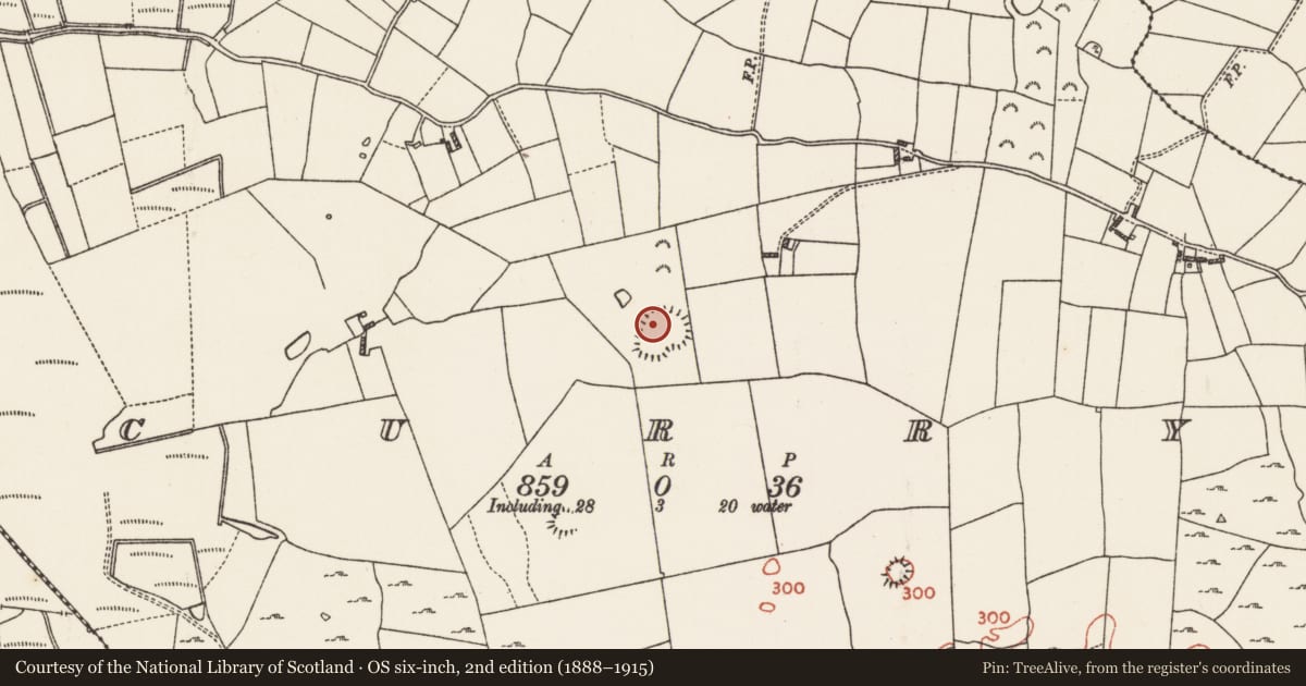 Ordnance Survey six-inch map, 2nd edition (1888–1915) covering the location of Ringfort - rath, Curry, County Roscommon, with a pin at the register's coordinates