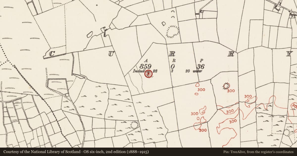 Ordnance Survey six-inch map, 2nd edition (1888–1915) covering the location of Ringfort - rath, Curry, County Roscommon, with a pin at the register's coordinates