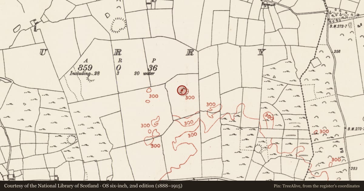 Ordnance Survey six-inch map, 2nd edition (1888–1915) covering the location of Ringfort - rath, Curry, County Roscommon, with a pin at the register's coordinates