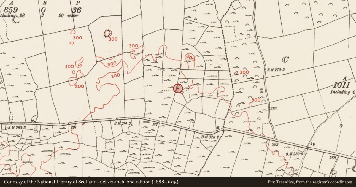 Ordnance Survey six-inch map, 2nd edition (1888–1915) covering the location of Ringfort - cashel, Curry, County Roscommon, with a pin at the register's coordinates