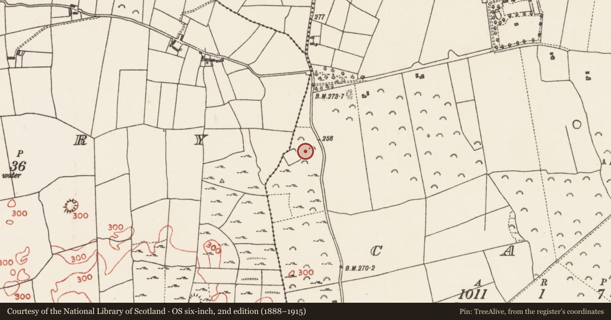 Ordnance Survey six-inch map, 2nd edition (1888–1915) covering the location of Mass-rock, Cam, County Roscommon, with a pin at the register's coordinates