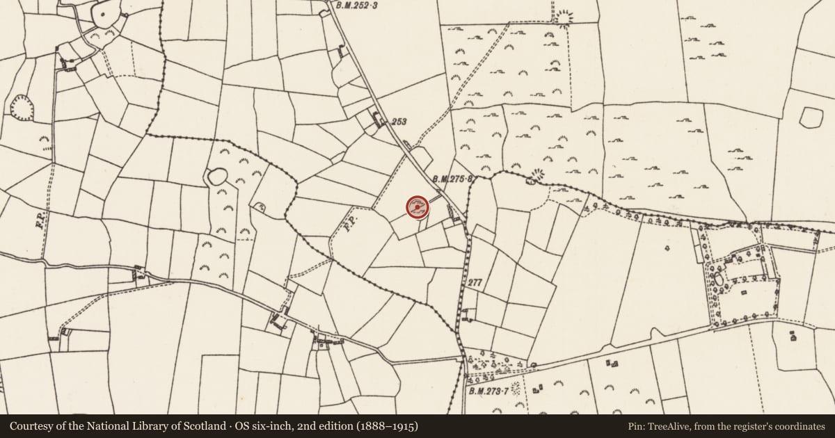 Ordnance Survey six-inch map, 2nd edition (1888–1915) covering the location of Ringfort - cashel, Kilcar, County Roscommon, with a pin at the register's coordinates