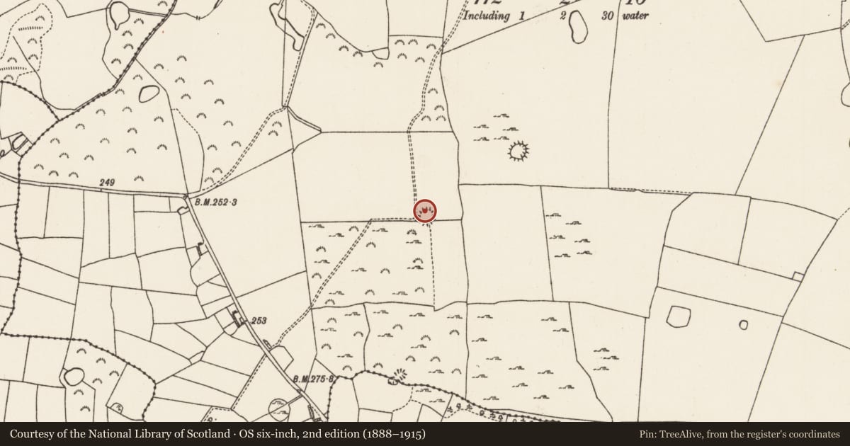 Ordnance Survey six-inch map, 2nd edition (1888–1915) covering the location of Ringfort - rath, Kilcar, County Roscommon, with a pin at the register's coordinates